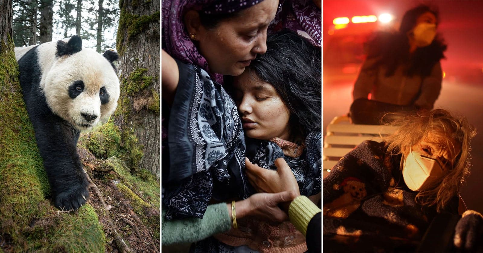 Over 70 Powerful Winners From the 2026 World Press Photo Contest