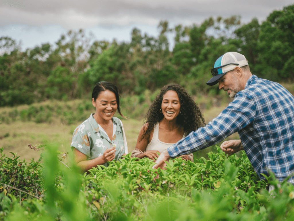 What’s the Tea on Maui?