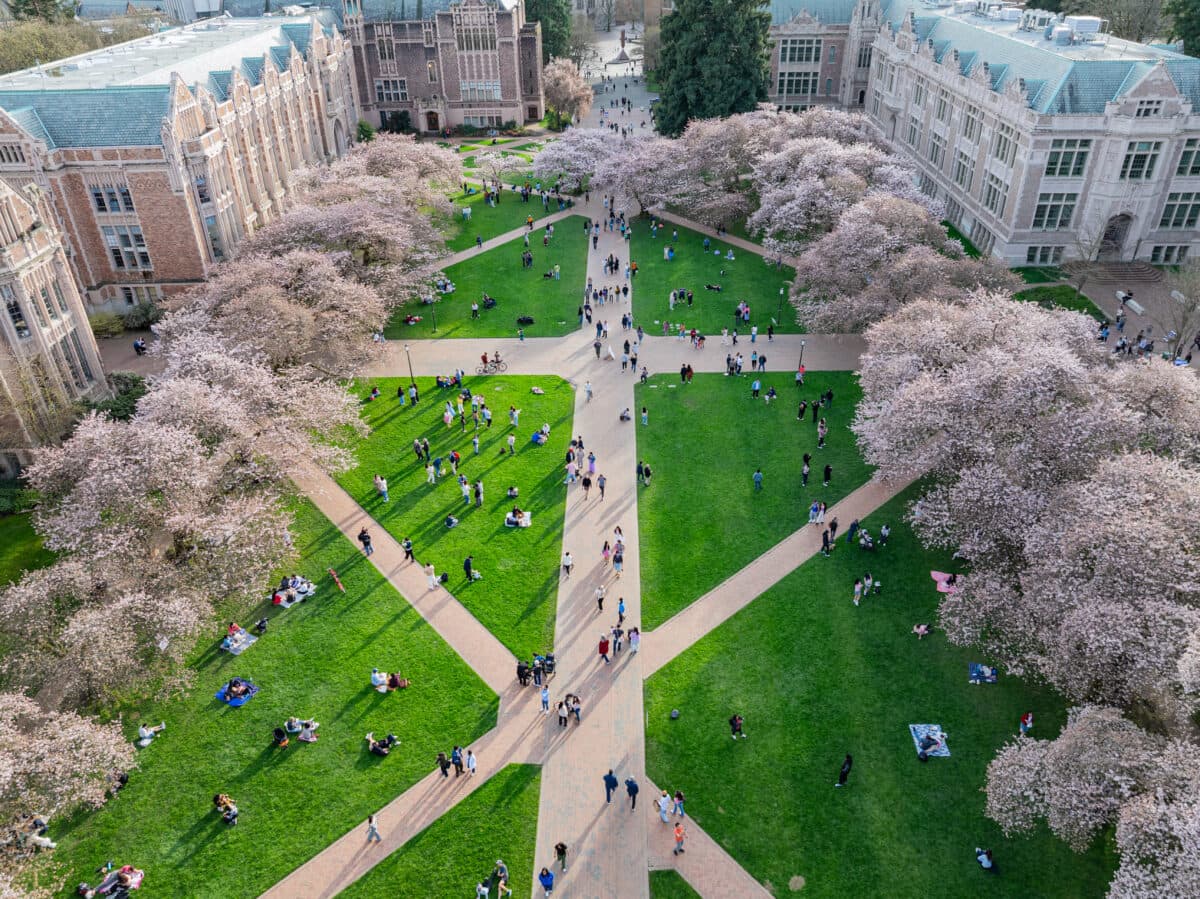 Peak bloom predictions are in for UW’s cherry trees
